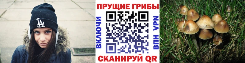 Псилоцибиновые грибы мухоморы  Купить  Комсомольск 